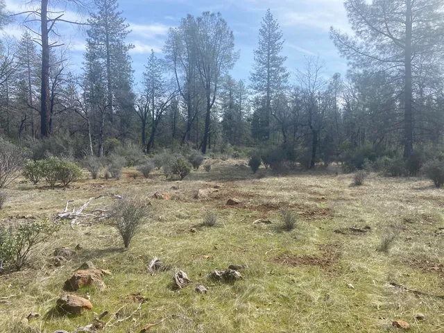 $449,000 | 11 Whitmore Village Road, Whitmore, CA 96096