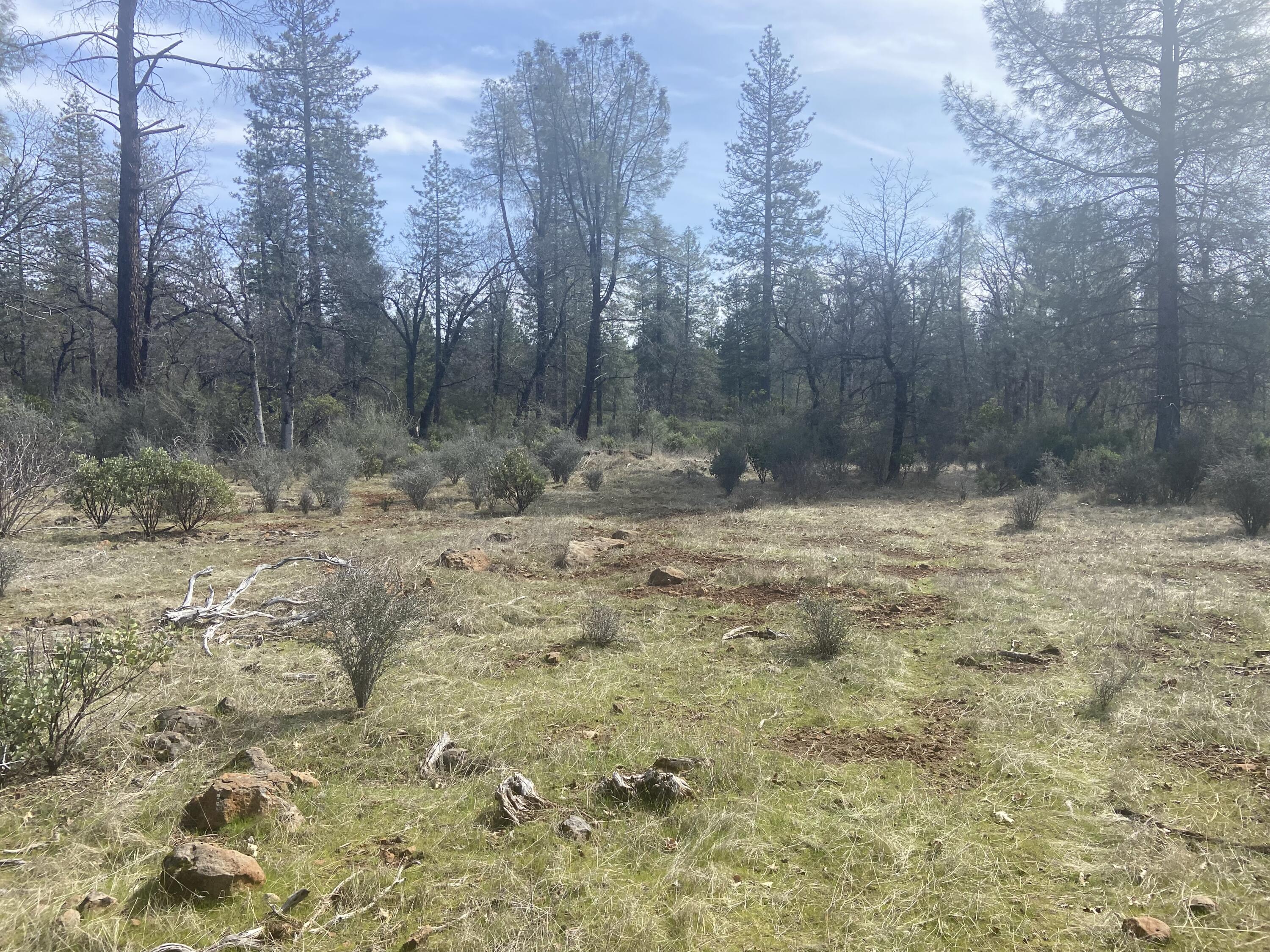 11 Whitmore Village Road Whitmore, CA 96096 - Photo 5 of 6