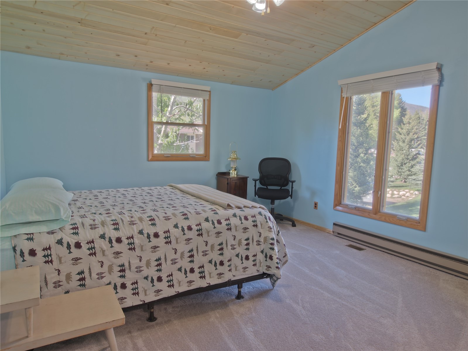 808 Deer Path Road Dillon, CO 80435 - Photo 5 of 39 Gallery Image 5
