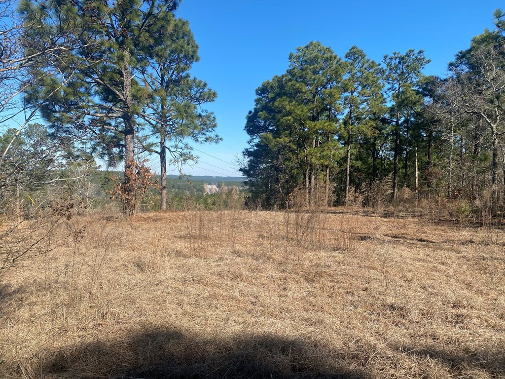 4370 Deans Bridge Road Blythe, GA 30805 - Photo 2 of 6