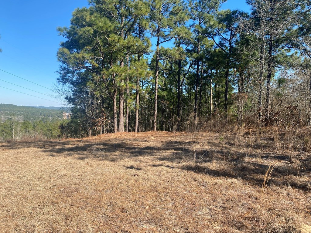 4370 Deans Bridge Road Blythe, GA 30805 - Photo 3 of 6