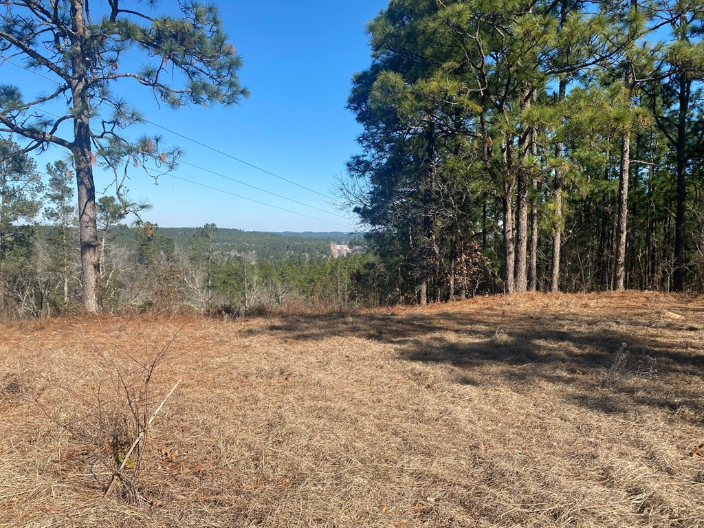 4370 Deans Bridge Road Blythe, GA 30805 - Photo 4 of 6