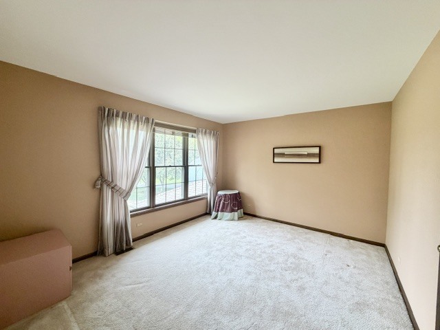 11-n071 Johnstoun Road Elgin, IL 60124 - Photo 71 of 90