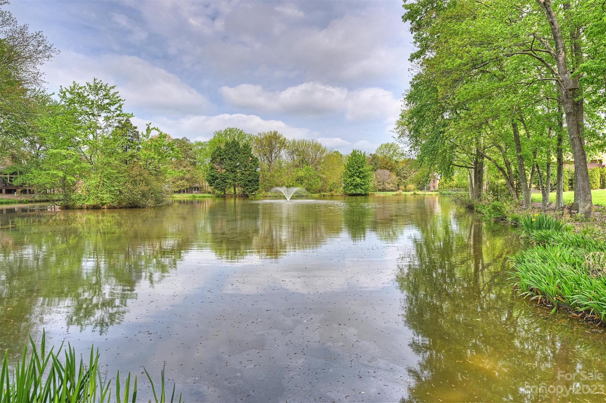4724 Carson's Pond Road, Unit 104 Charlotte, NC 28226 - Photo 29 of 38 a view of a lake with a yard and a large tree