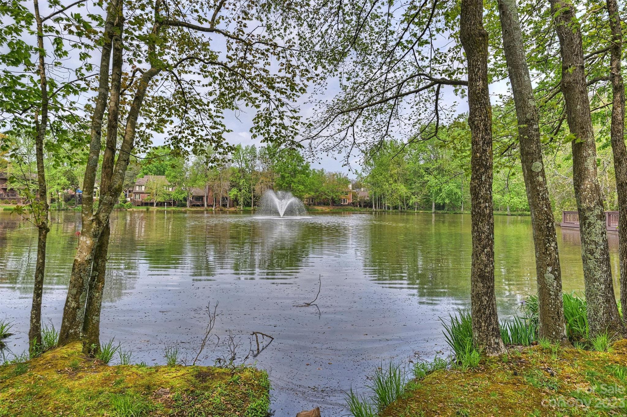 4724 Carson's Pond Road, Unit 104 Charlotte, NC 28226 - Photo 35 of 38 a view of a lake with a large trees