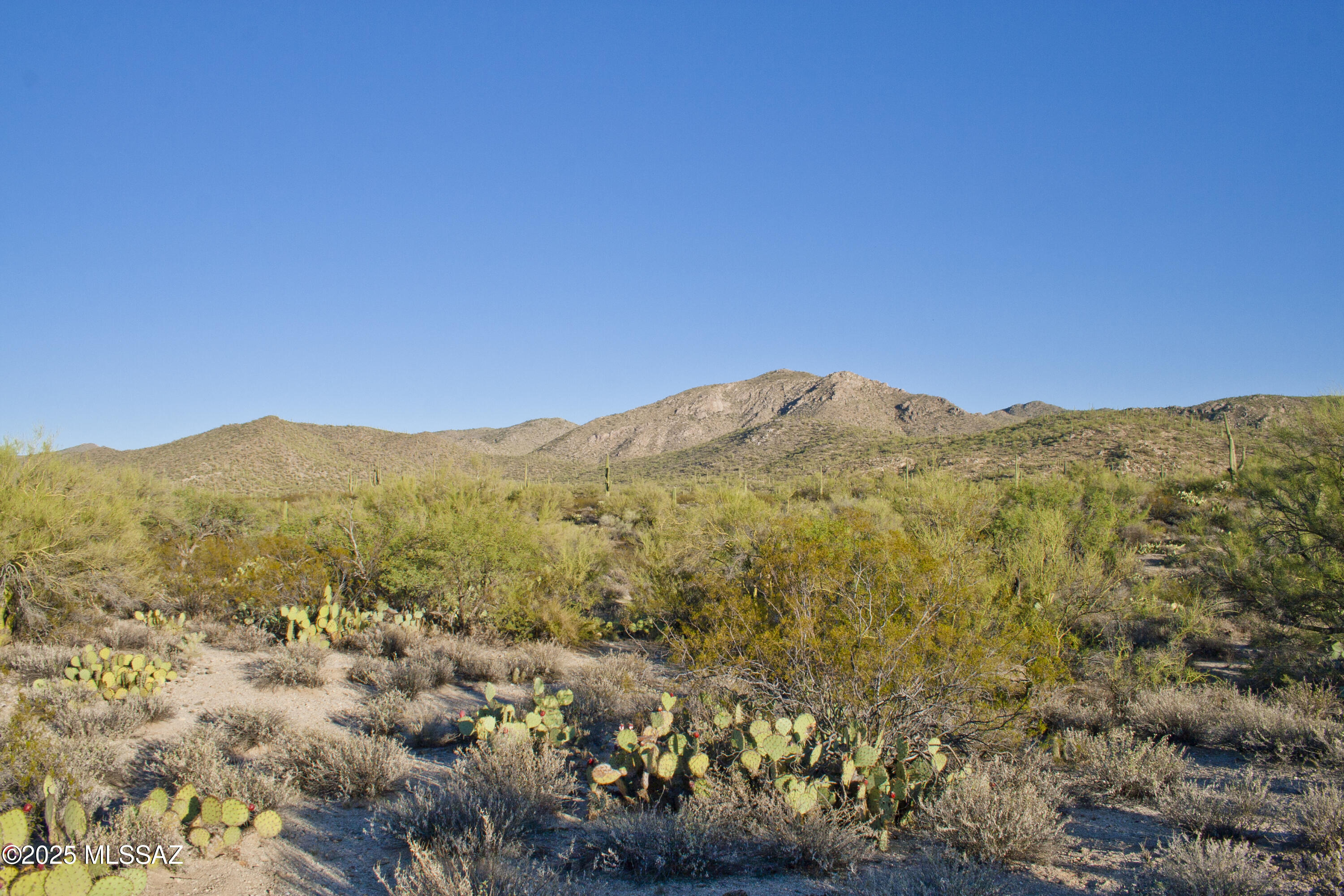0 Silverian Road Marana, AZ 85658 - Photo 26 of 32
