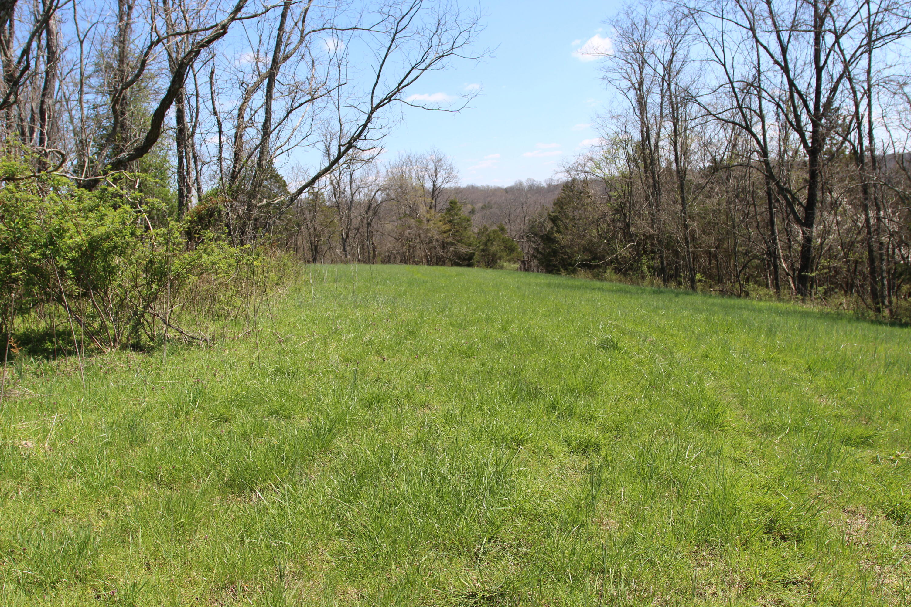 127 Owenton Road Owenton, KY 40359 - Photo 15 of 33 1- land owen county (14)