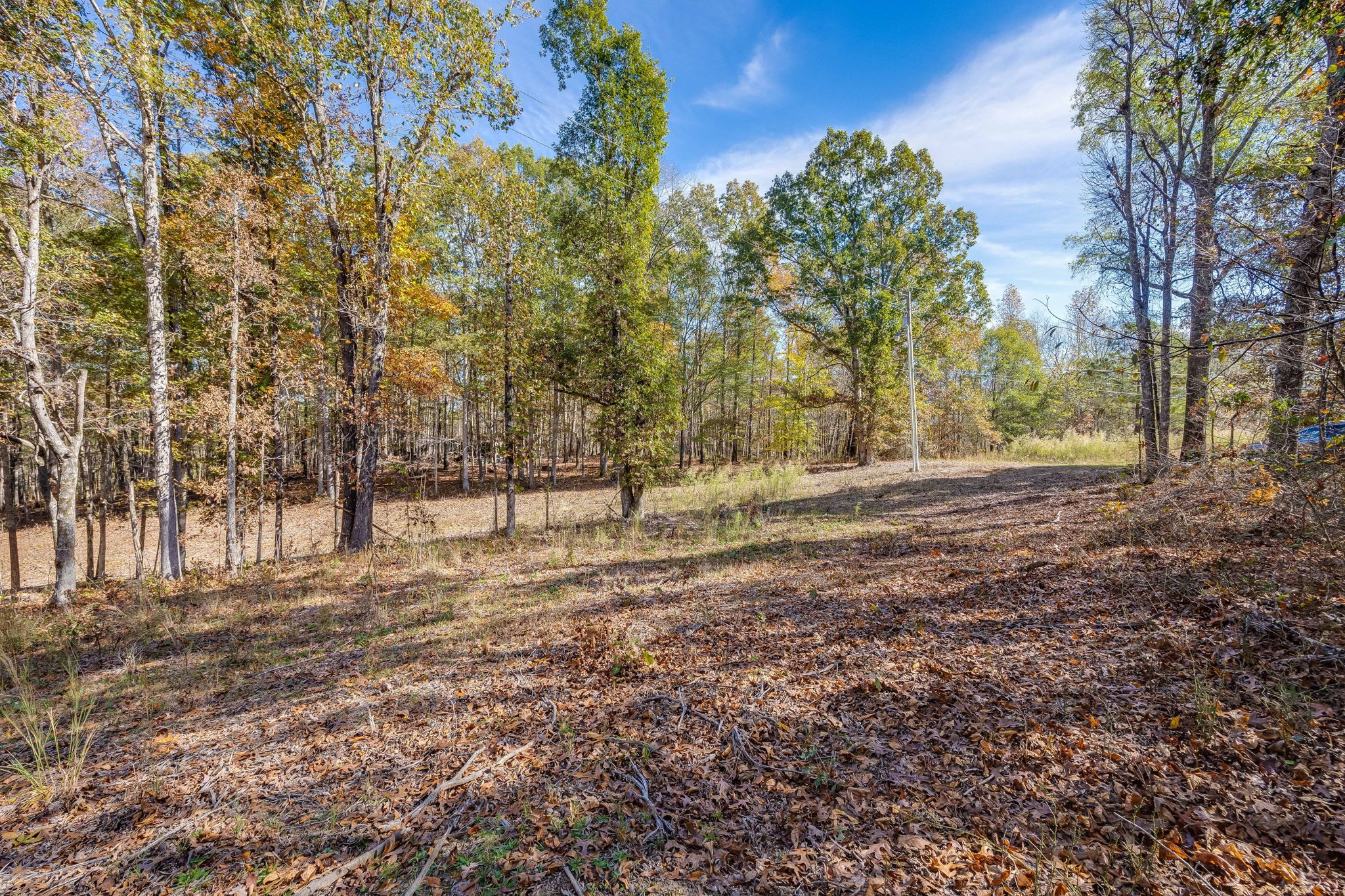 24 Byrd Road Lawrenceburg, TN 38464 - Photo 17 of 32 Gallery Image 17