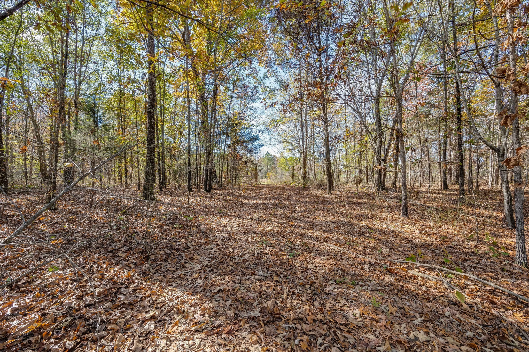24 Byrd Road Lawrenceburg, TN 38464 - Photo 30 of 32 Gallery Image 30