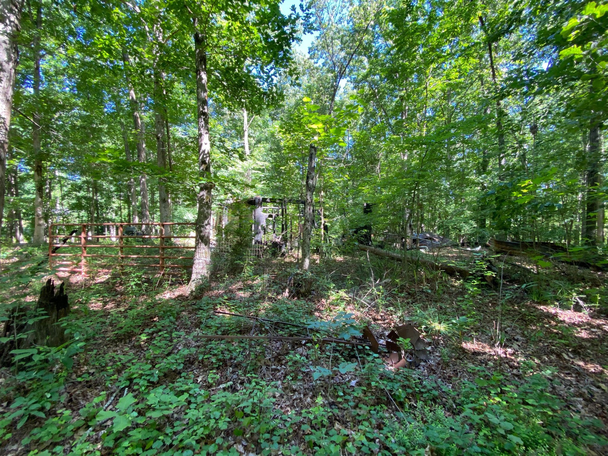 24 Byrd Road Lawrenceburg, TN 38464 - Photo 3 of 32 Gallery Image 3