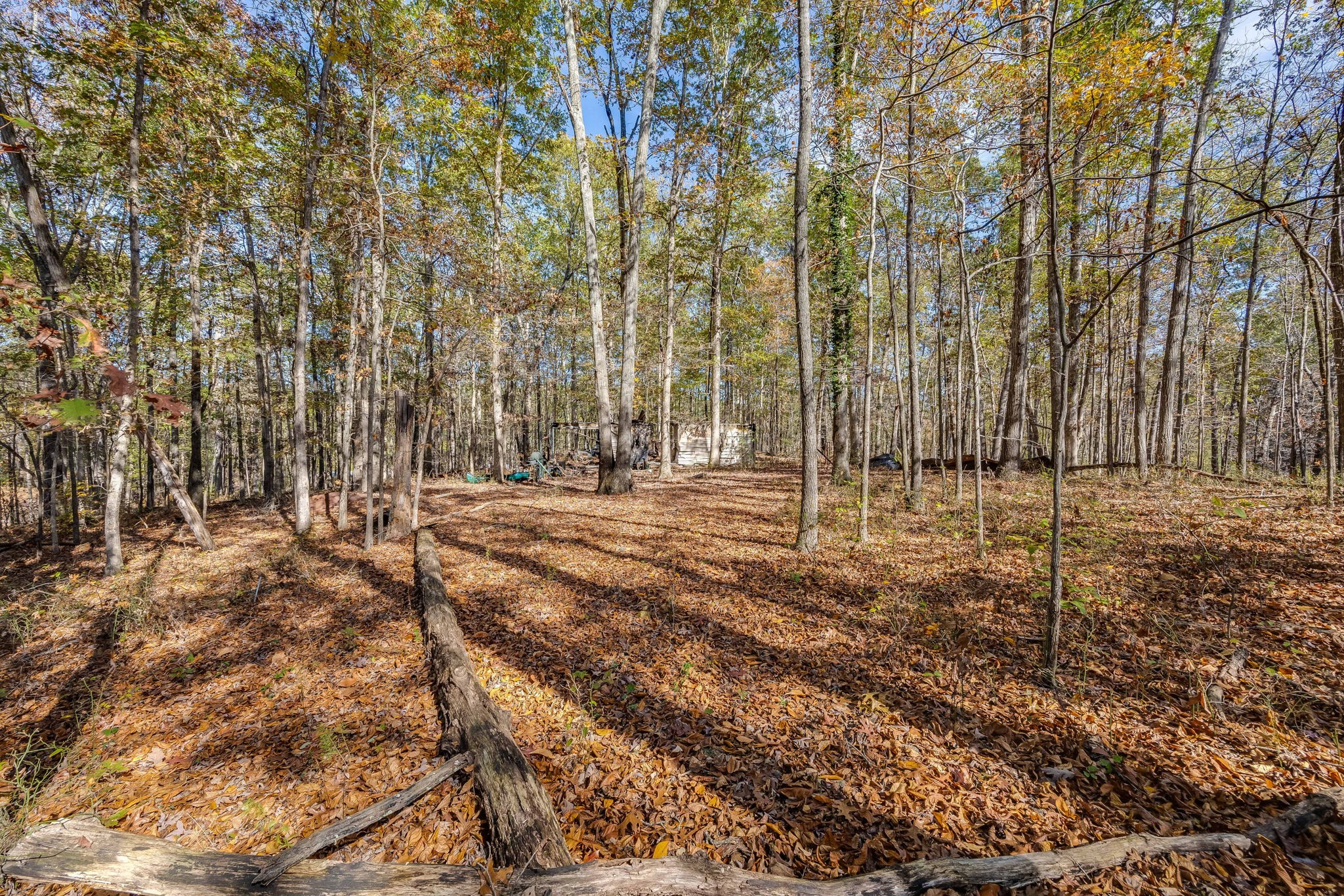 24 Byrd Road Lawrenceburg, TN 38464 - Photo 32 of 32 Gallery Image 32