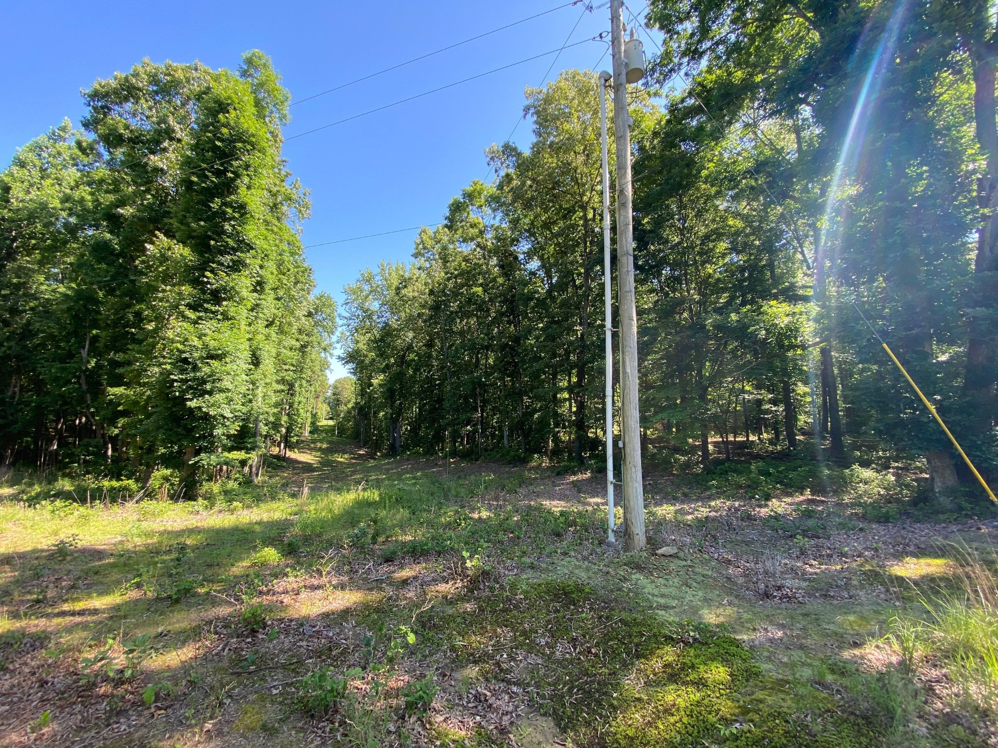 24 Byrd Road Lawrenceburg, TN 38464 - Photo 7 of 32 Gallery Image 7