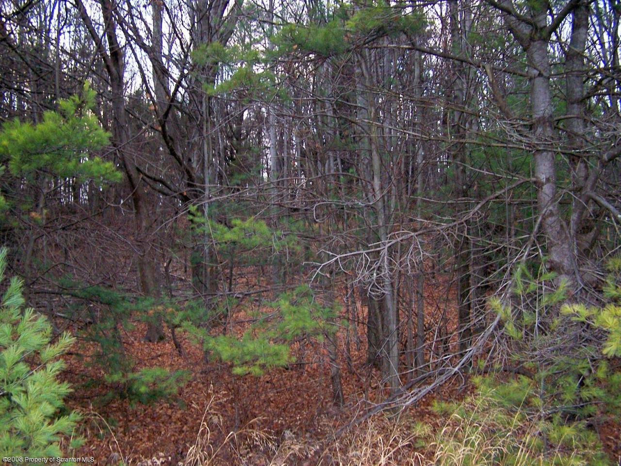 Rr#2 Rr Mehoopany, PA 18629 - Photo 17 of 17 a backyard of a house with lots of plants and large tree