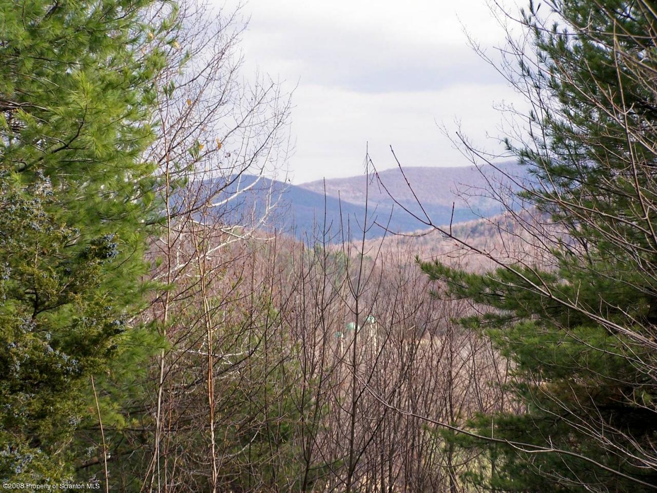 Rr#2 Rr Mehoopany, PA 18629 - Photo 7 of 17 a view of a backyard