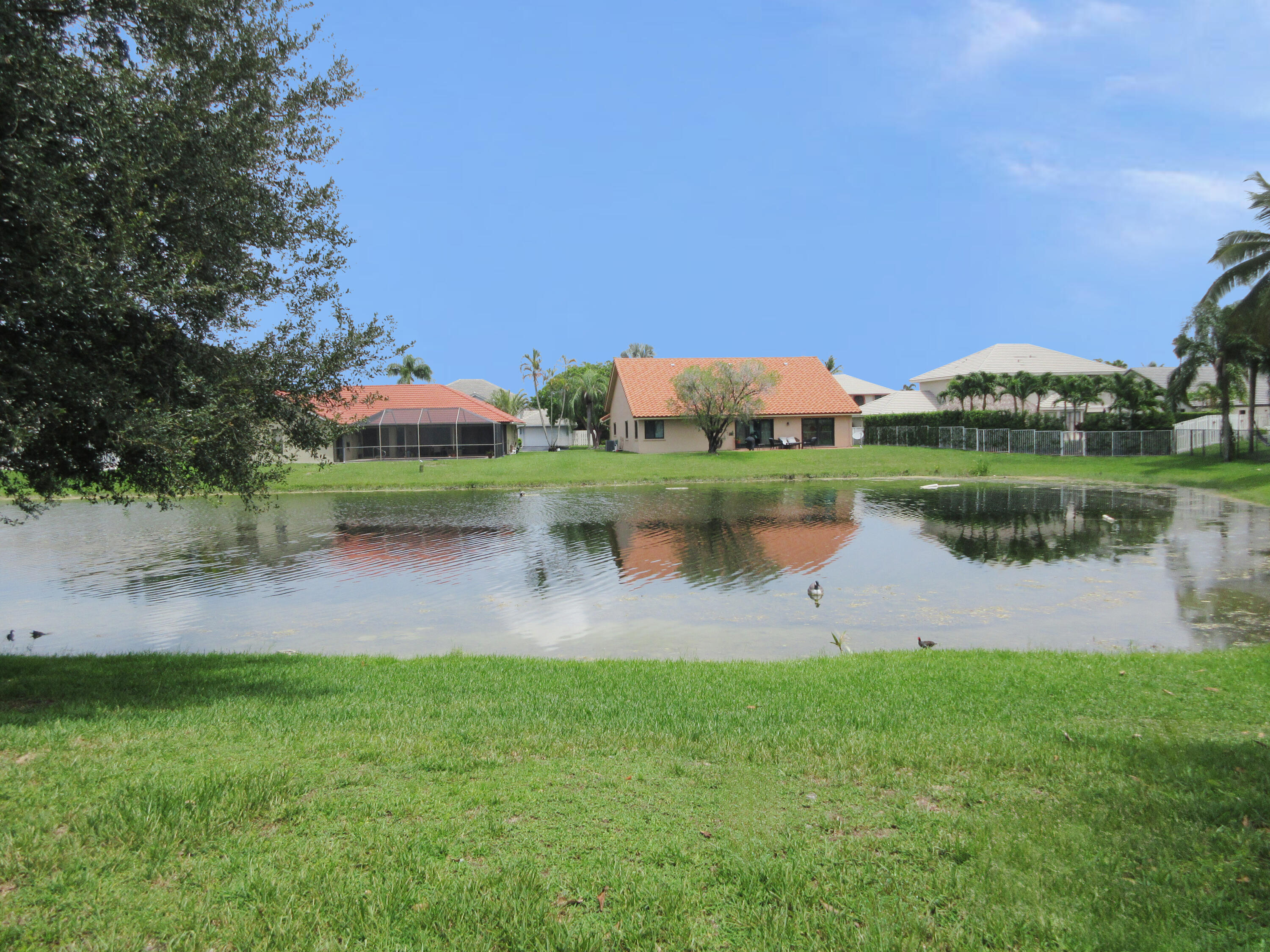 14021 Richwood Place Davie, FL 33325 - Photo 9 of 9 a view of a lake with a big yard and a large trees