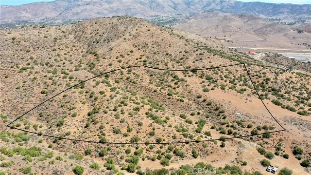 a view of a dry yard