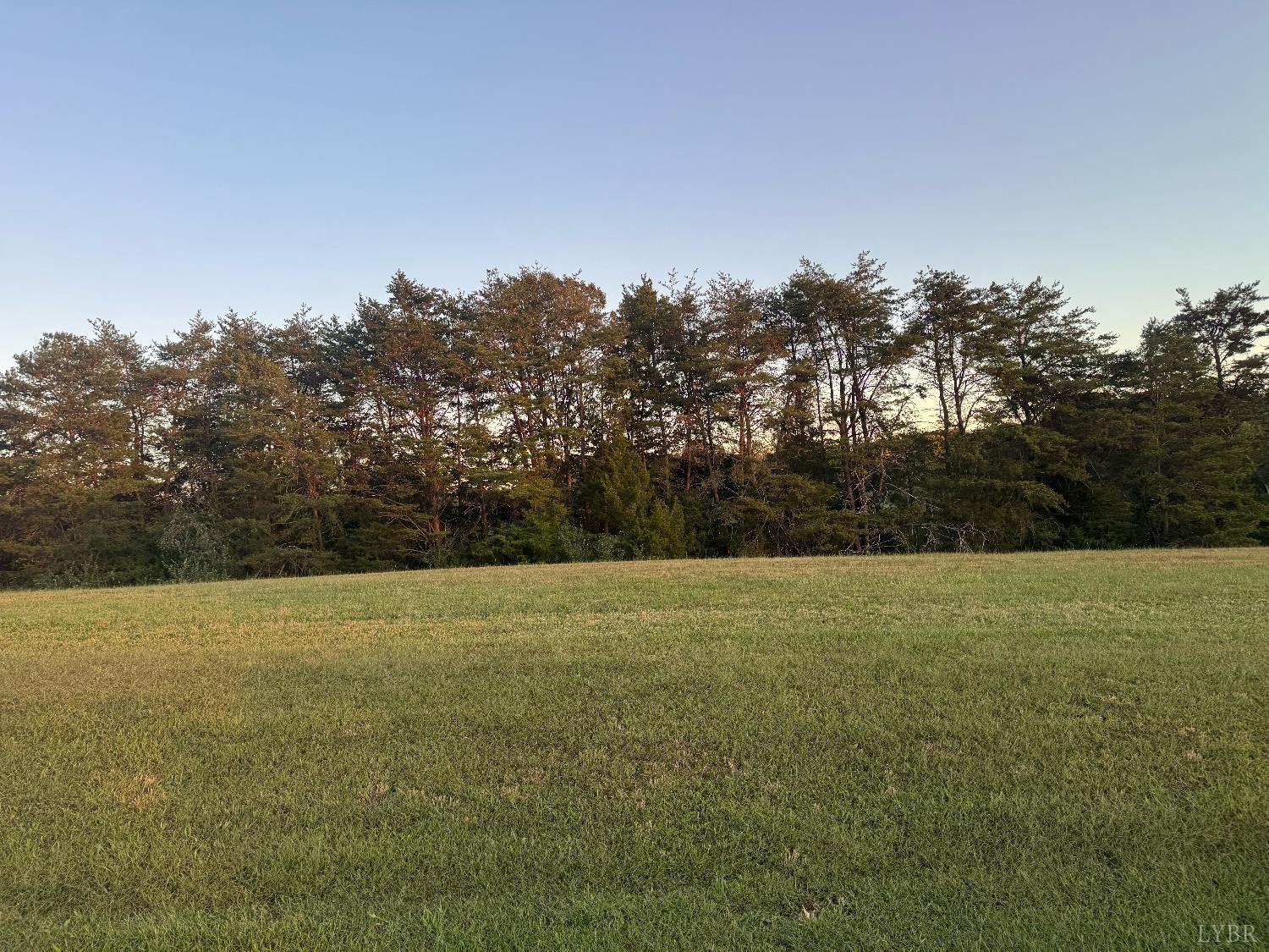 24 Nyle Ridge Road Wirtz, VA 24184 - Photo 6 of 8 a view of outdoor space and yard