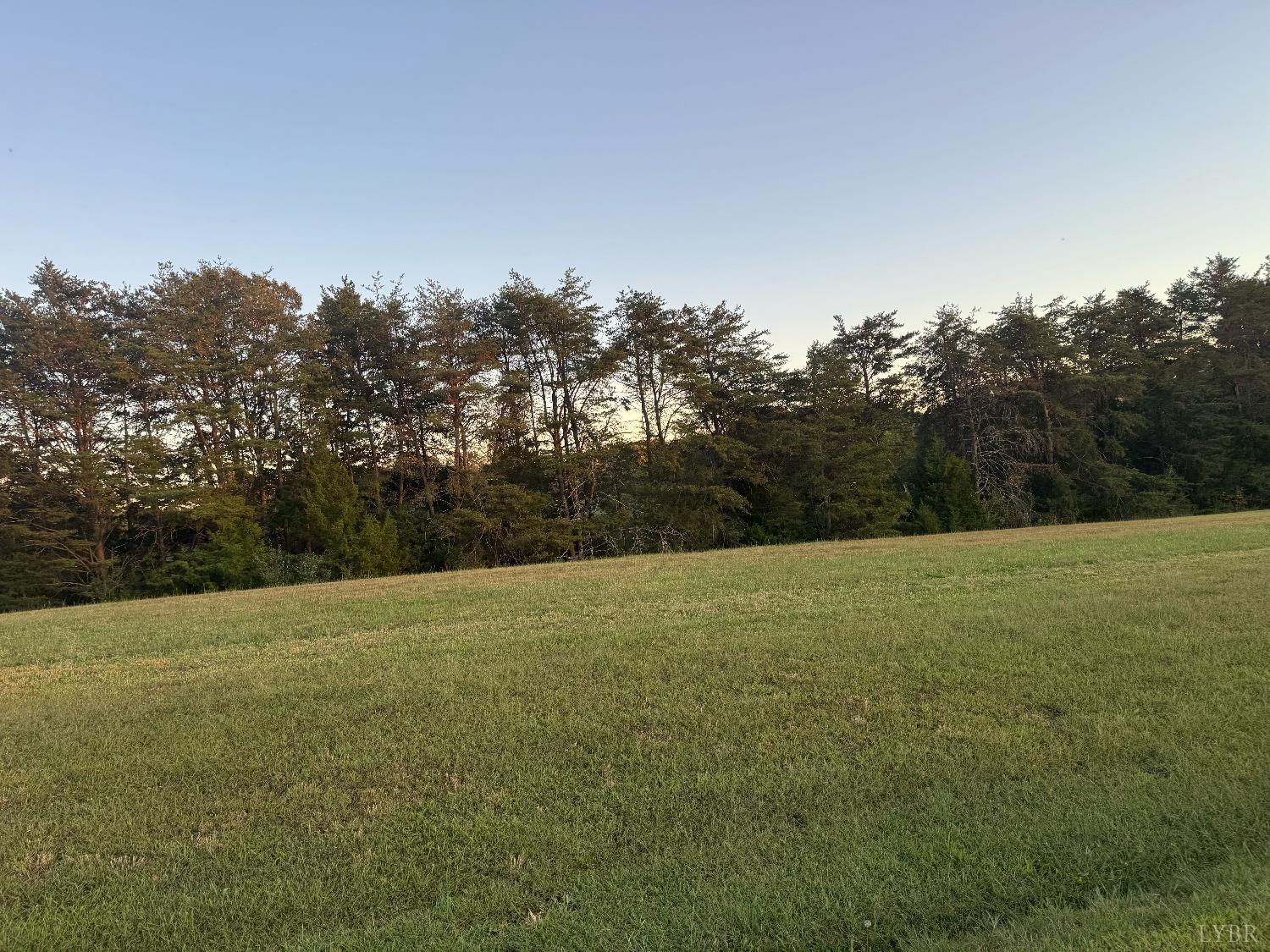 24 Nyle Ridge Road Wirtz, VA 24184 - Photo 7 of 8 a view of outdoor space and yard