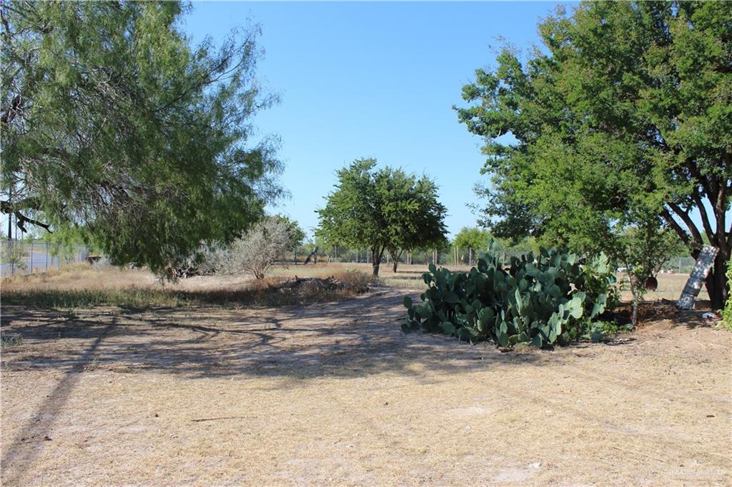 322 North Charco Blanco Road Rio Grande City, TX 78582 - Photo 8 of 28 a view of a yard with plants and trees
