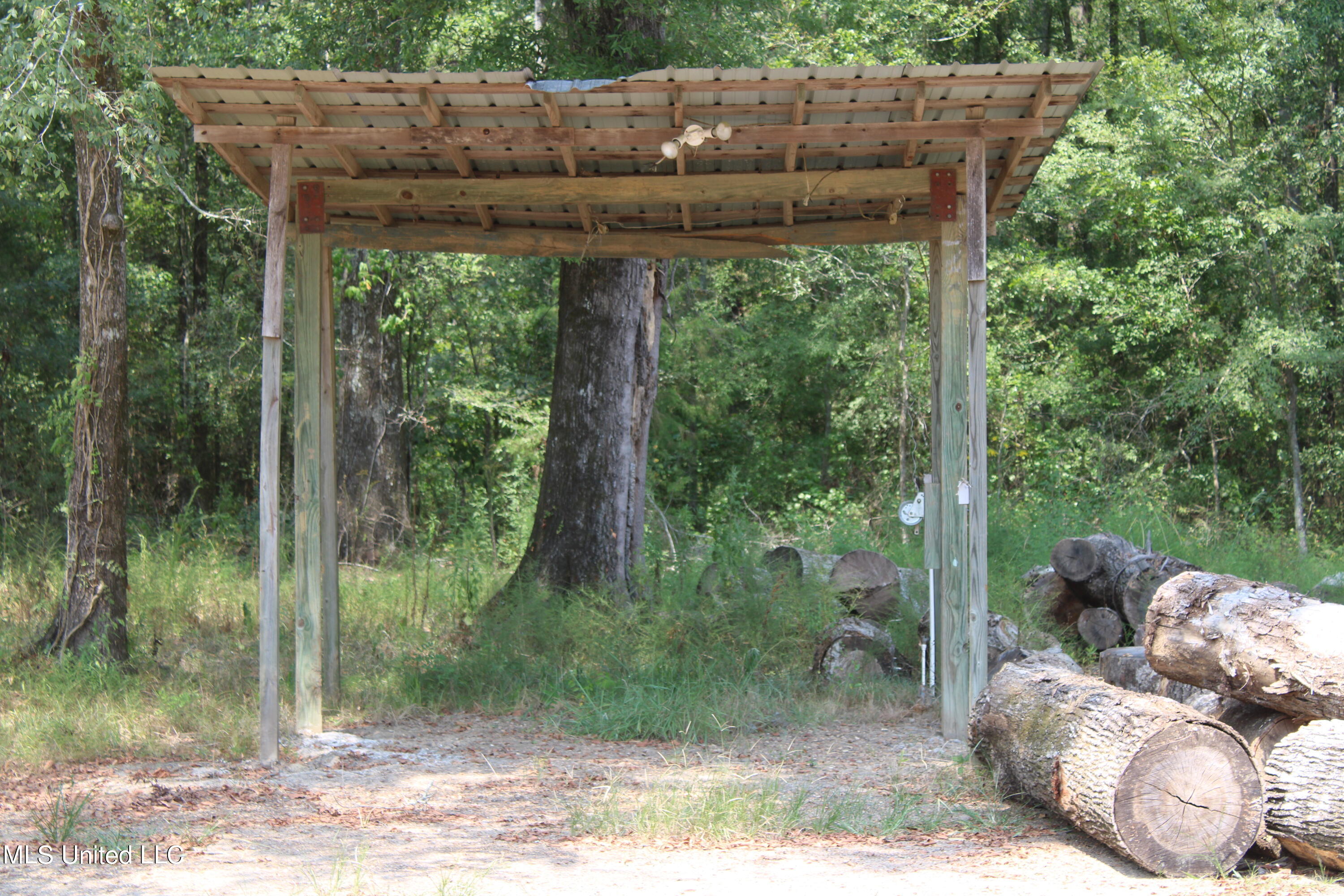 306 Walnut Road Carthage, MS 39051 - Photo 16 of 34 IMG_3629