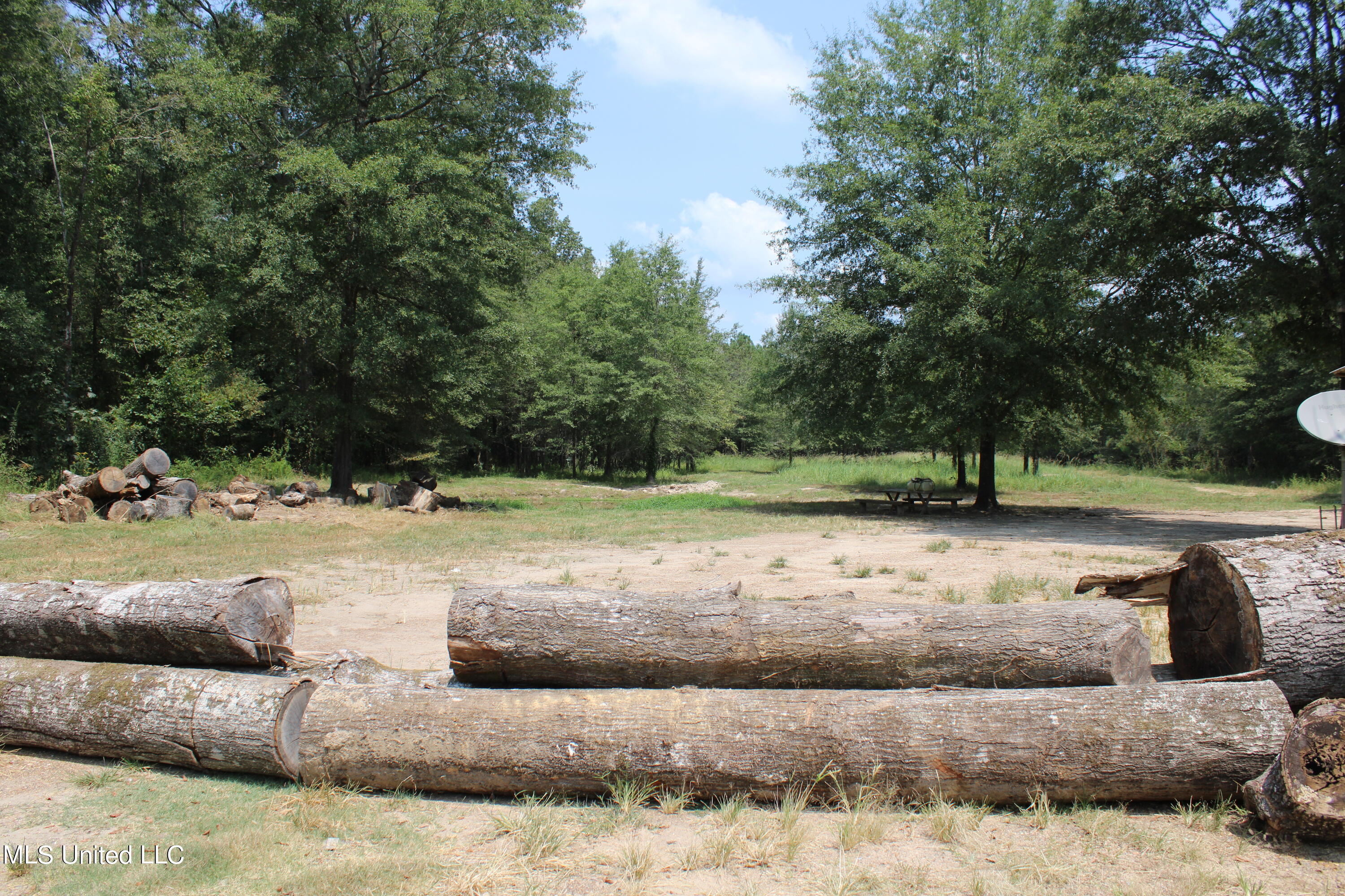 306 Walnut Road Carthage, MS 39051 - Photo 17 of 34 IMG_3630