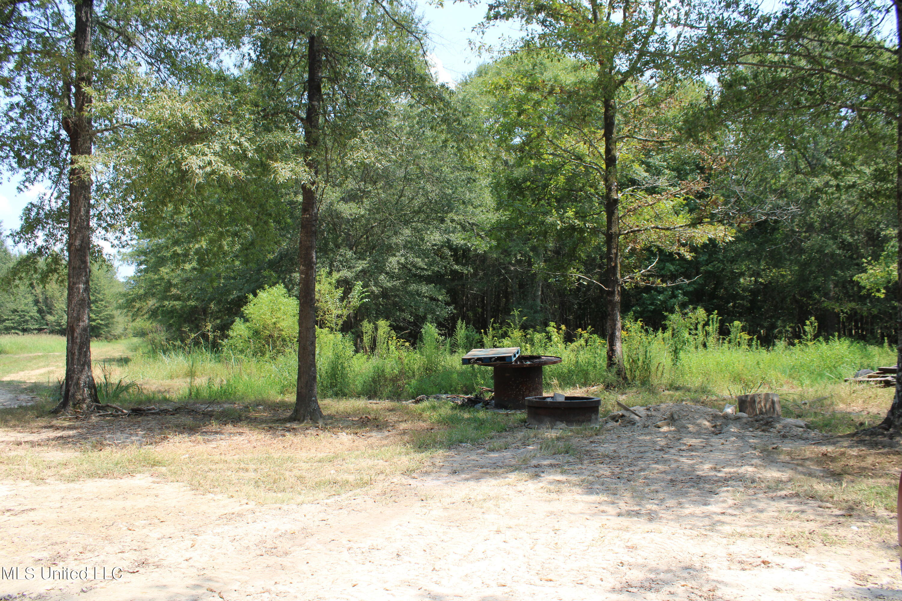 306 Walnut Road Carthage, MS 39051 - Photo 22 of 34 IMG_3635