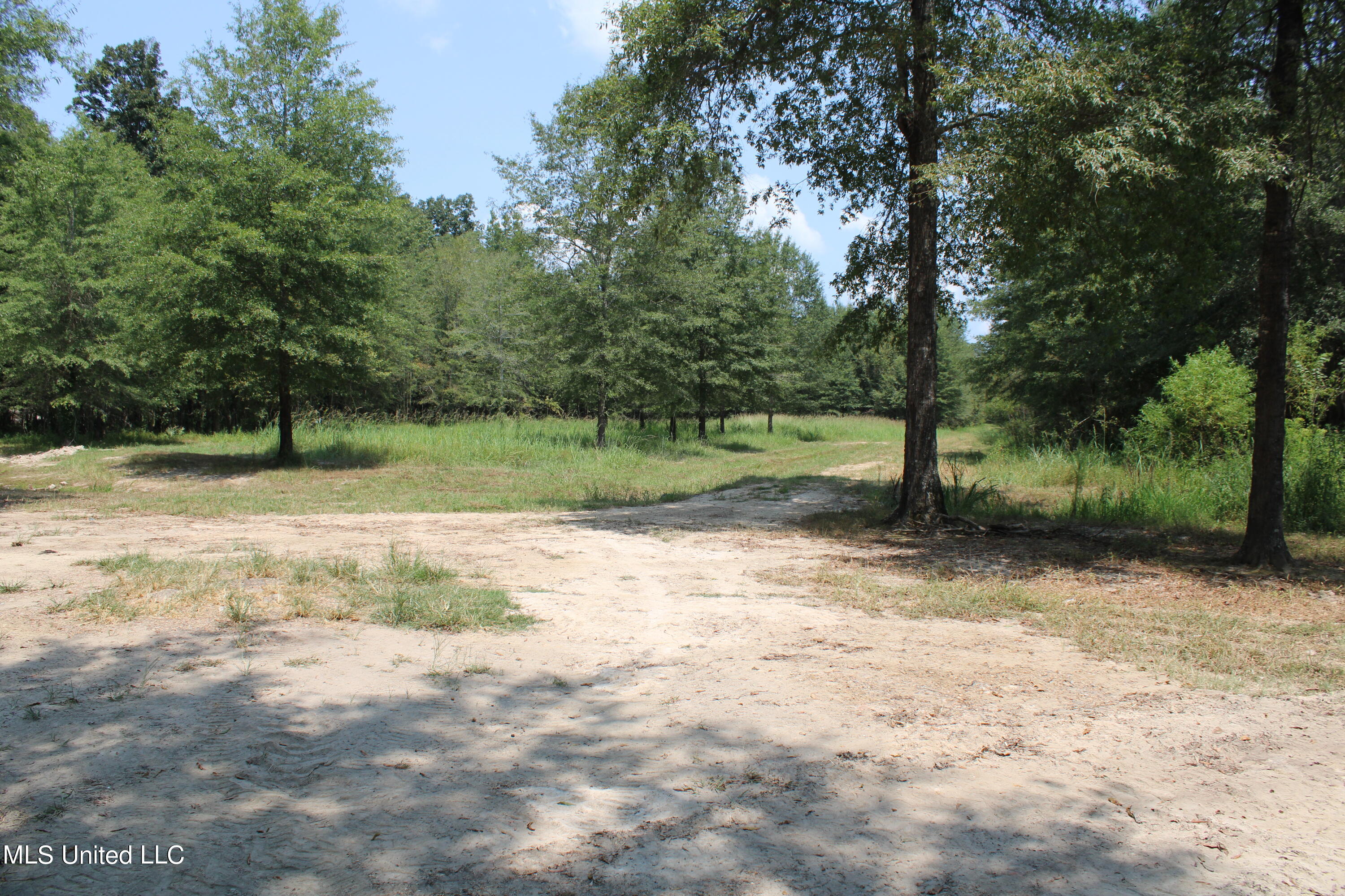 306 Walnut Road Carthage, MS 39051 - Photo 23 of 34 IMG_3636