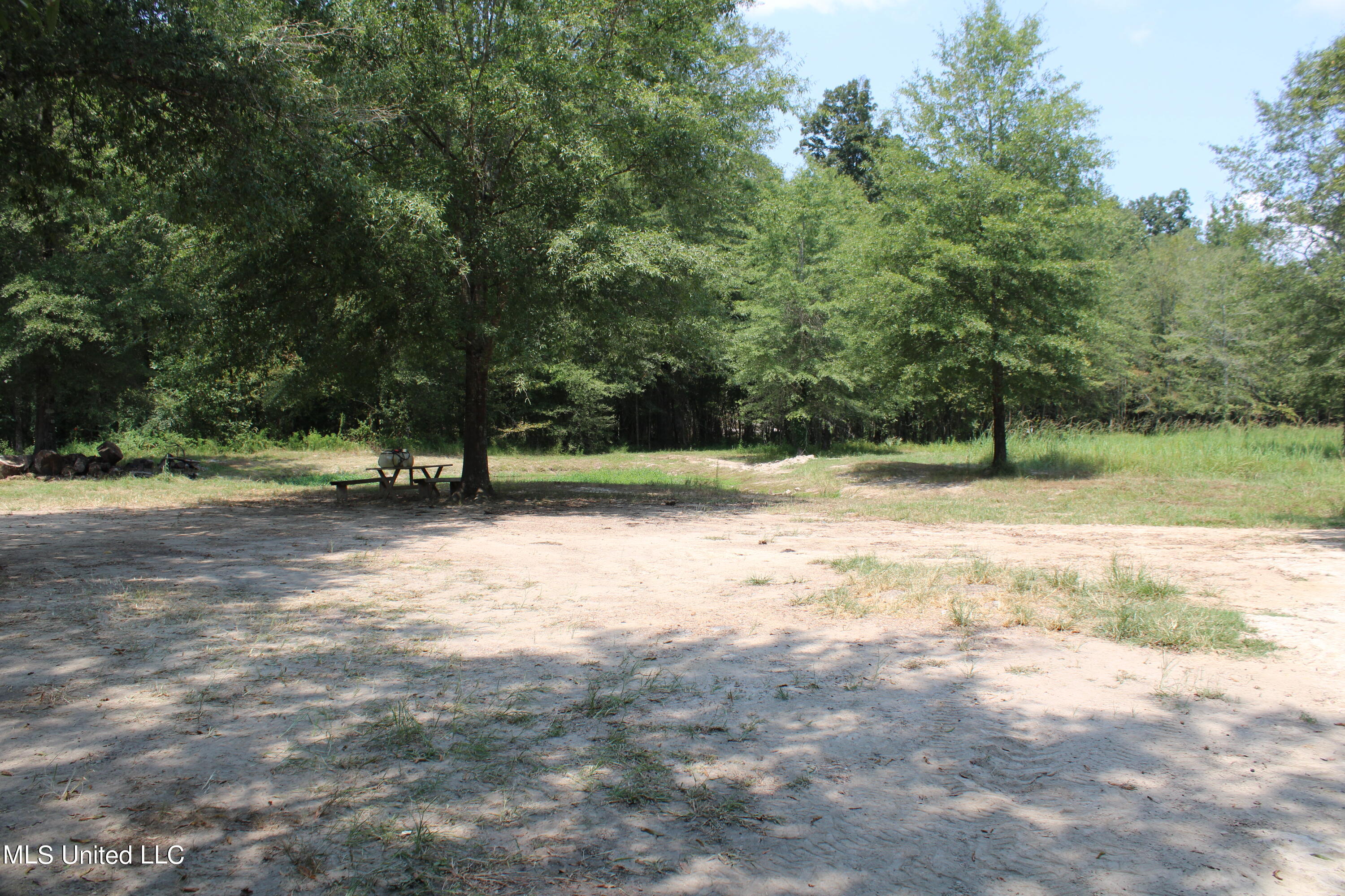 306 Walnut Road Carthage, MS 39051 - Photo 24 of 34 IMG_3637