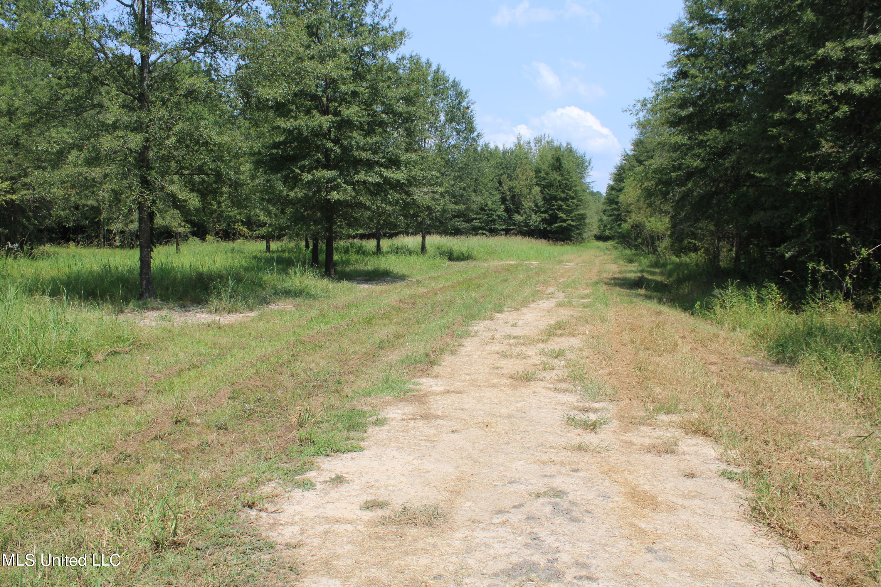306 Walnut Road Carthage, MS 39051 - Photo 26 of 34 IMG_3639