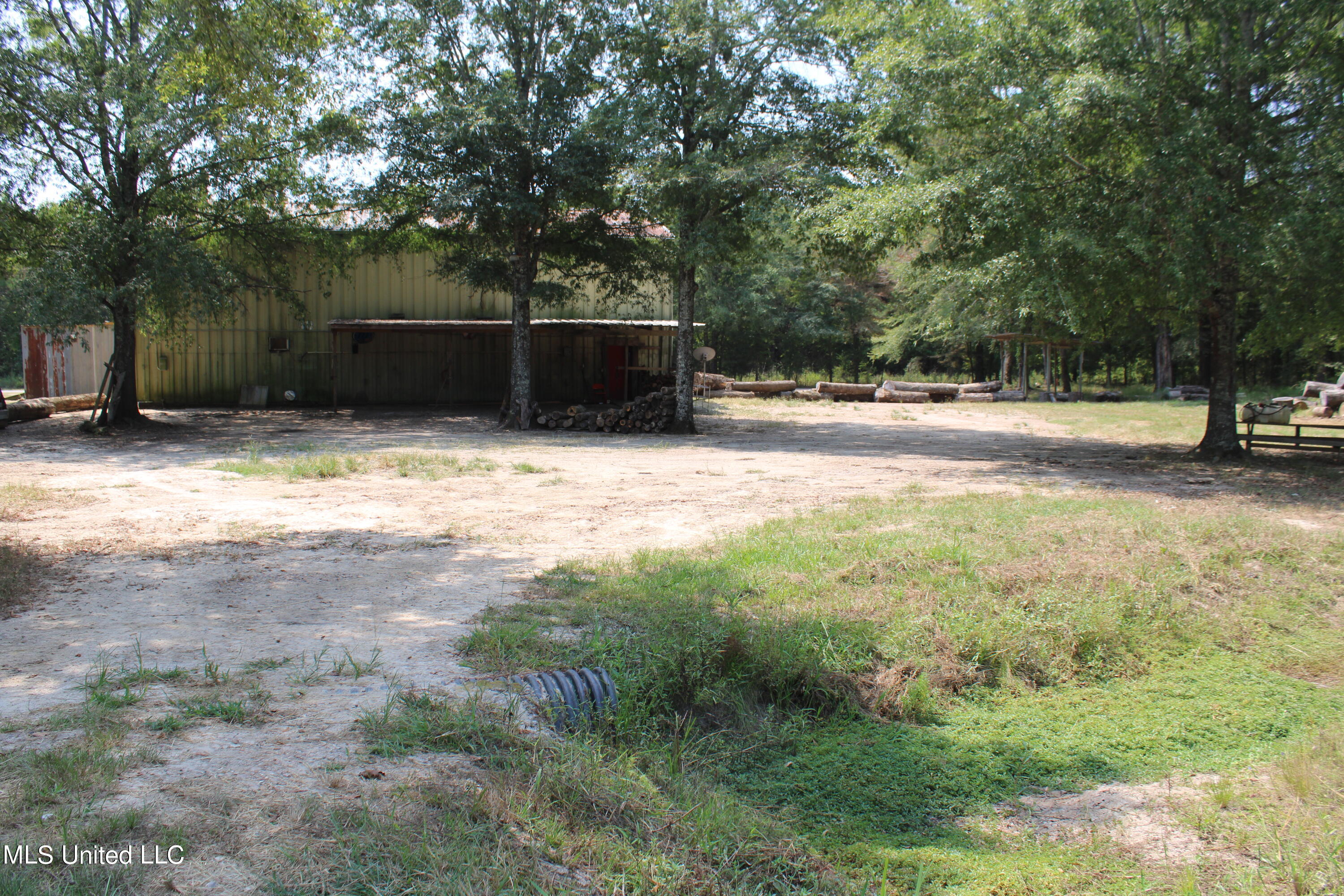 306 Walnut Road Carthage, MS 39051 - Photo 27 of 34 IMG_3640