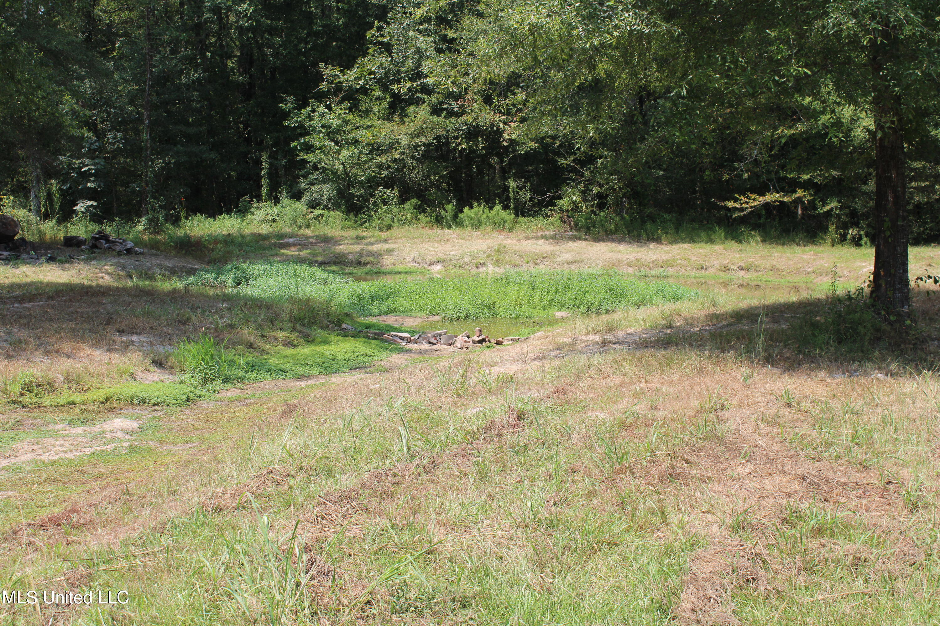 306 Walnut Road Carthage, MS 39051 - Photo 28 of 34 IMG_3641