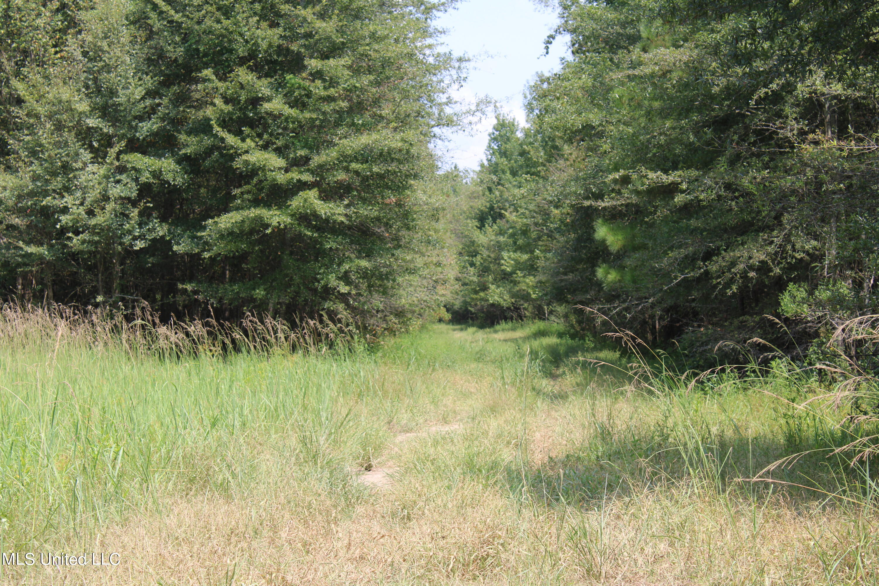 306 Walnut Road Carthage, MS 39051 - Photo 29 of 34 IMG_3642