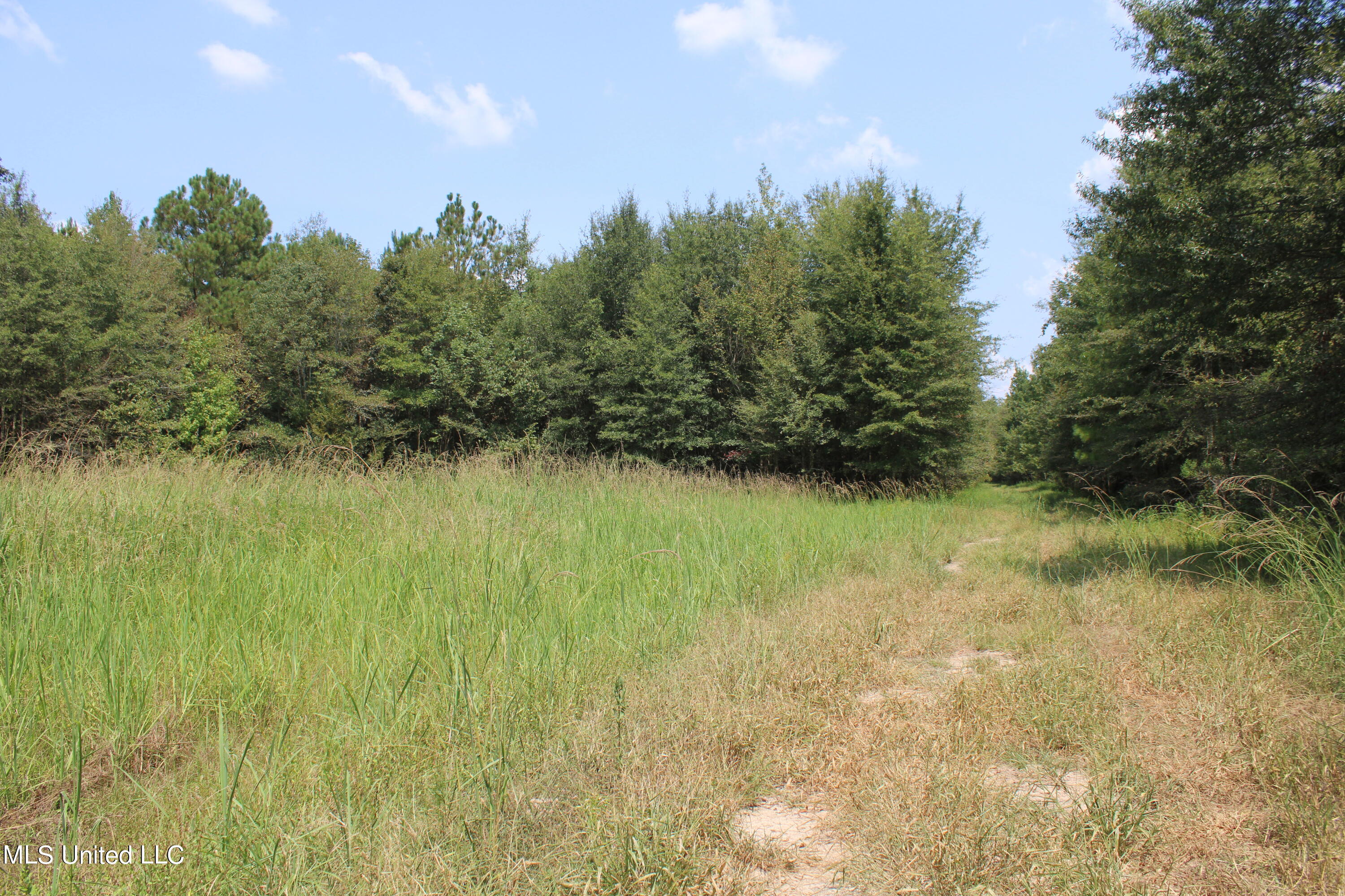 306 Walnut Road Carthage, MS 39051 - Photo 30 of 34 IMG_3643