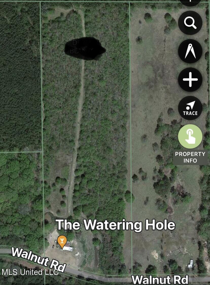 306 Walnut Road Carthage, MS 39051 - Photo 31 of 34 IMG_4848