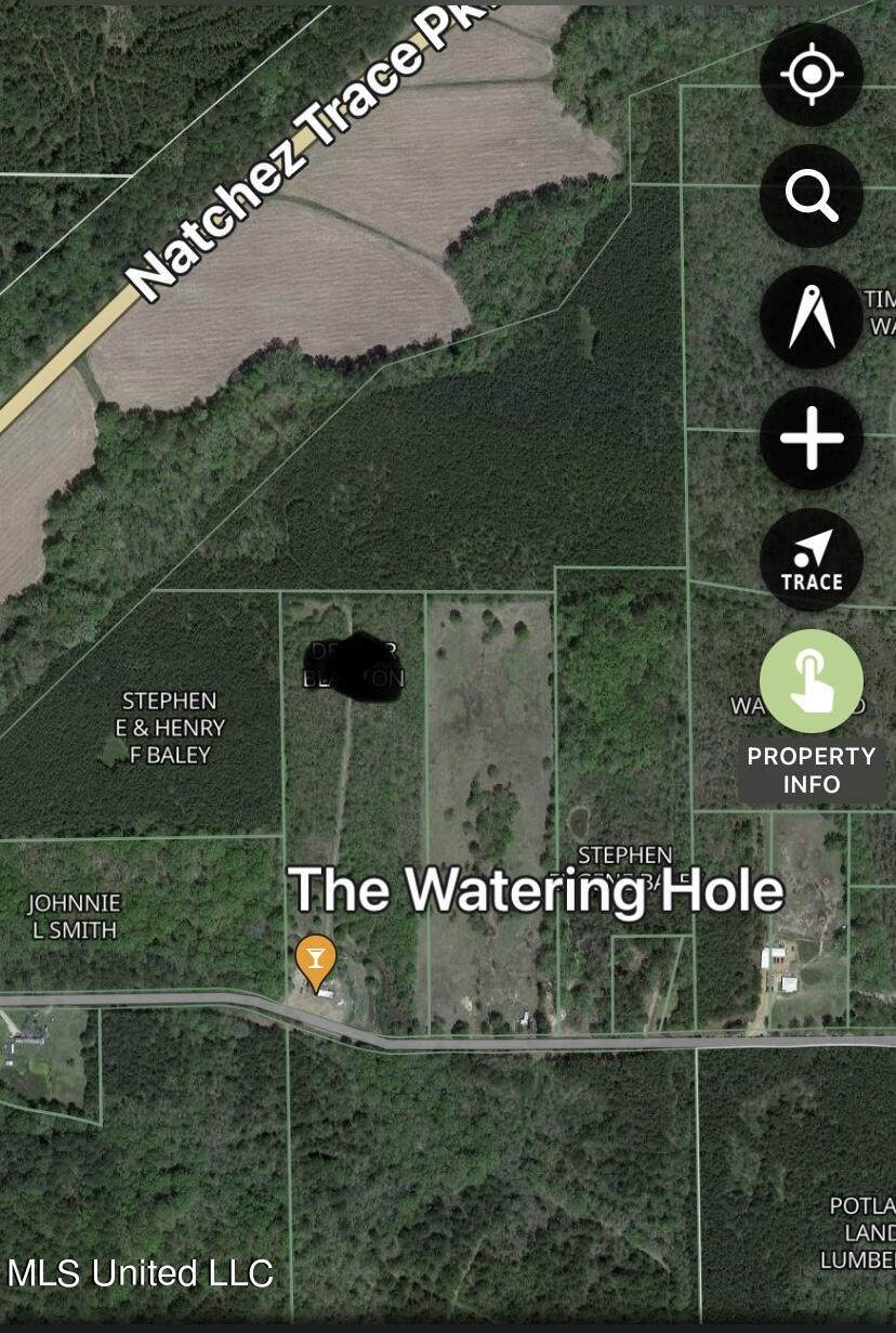 306 Walnut Road Carthage, MS 39051 - Photo 32 of 34 IMG_4849