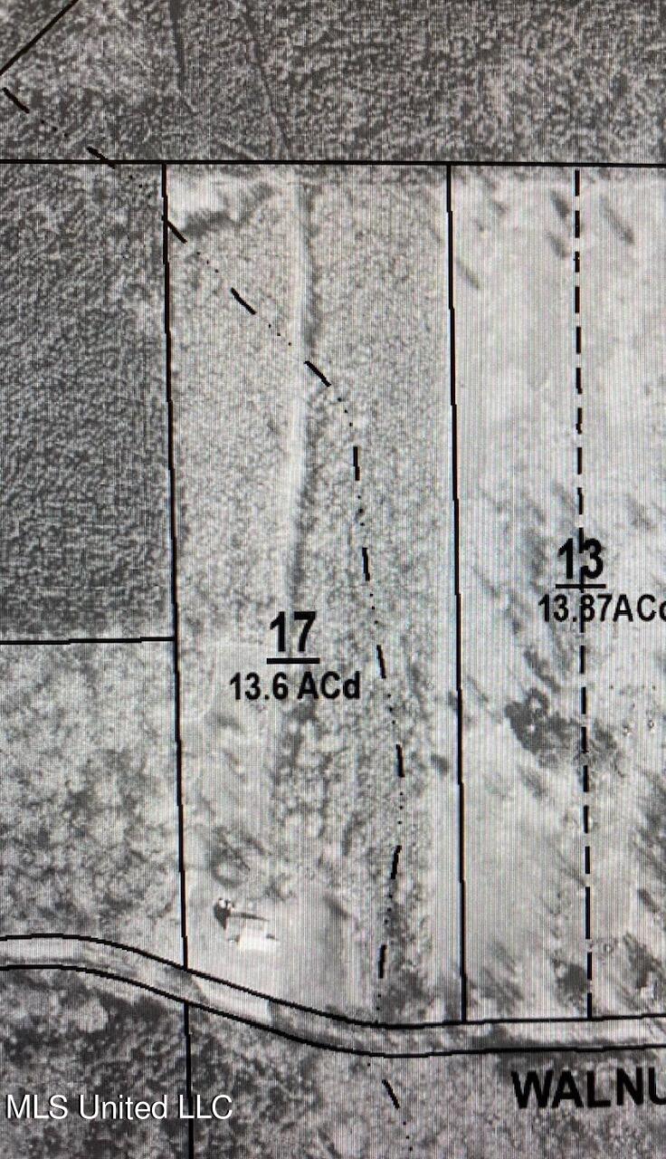 306 Walnut Road Carthage, MS 39051 - Photo 34 of 34 IMG_4879