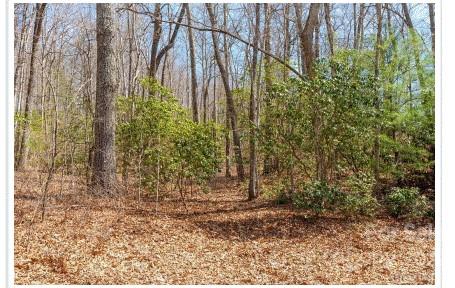 0 Cullowhee Forest Road, Unit 51 Cullowhee, NC 28723 - Photo 1 of 1 Gallery Image 1