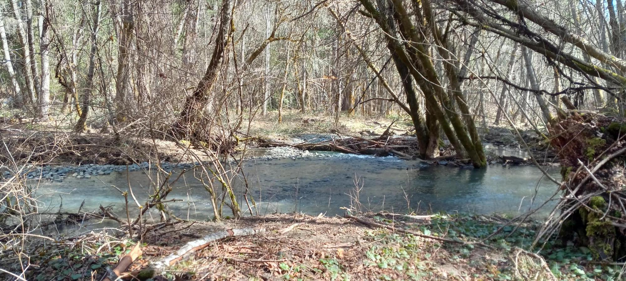 10596 West Evans Creek Road Rogue River, OR 97537 - Photo 33 of 35 creek2