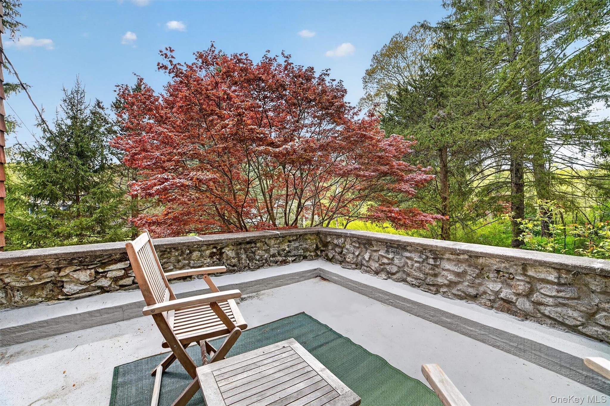 9 Sloehidden Road Briarcliff Manor, NY 10510 - Photo 43 of 49