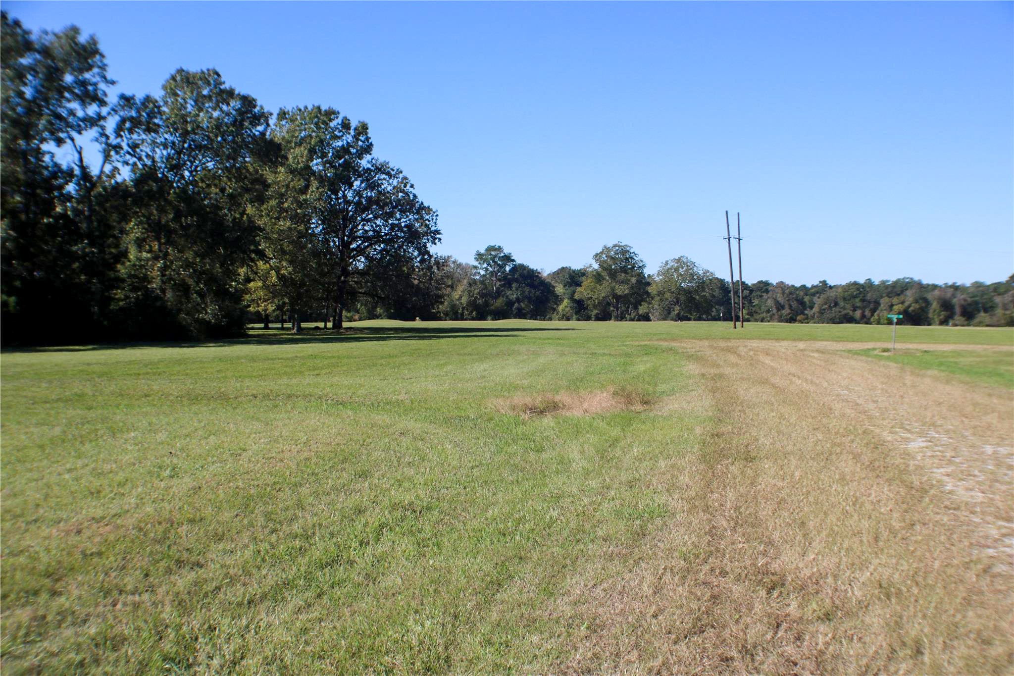 Lot 9 New Orleans Trinity, TX 75862 - Photo 2 of 8 a view of a field with an ocean view