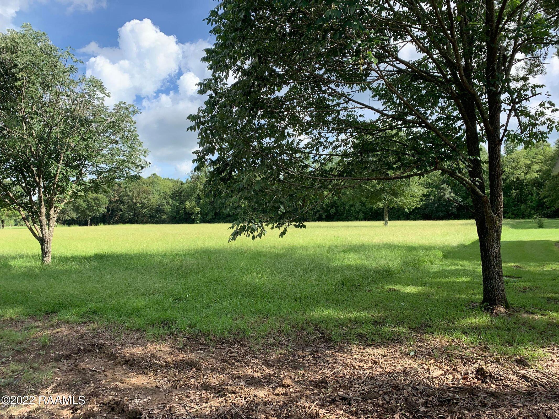 Tbd Theophile Road Ville Platte, LA 70586 - Photo 1 of 1