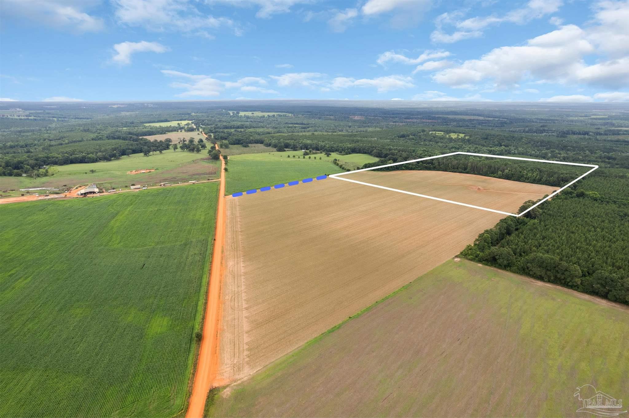 1 Old Stage Road Repton, AL 36475 - Photo 9 of 19