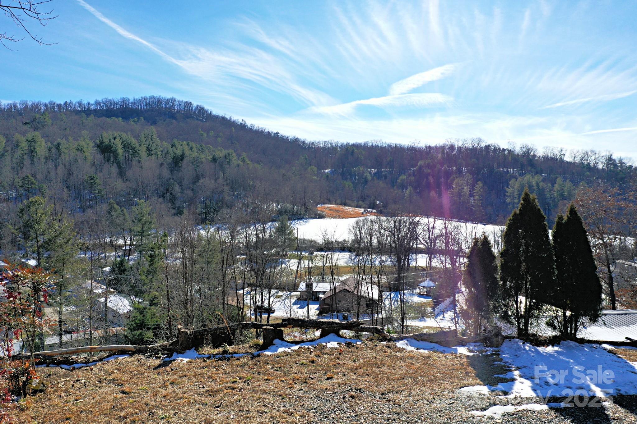 103 Raindrop Ridge Sylva, NC 28779 - Photo 4 of 14 Gallery Image 4