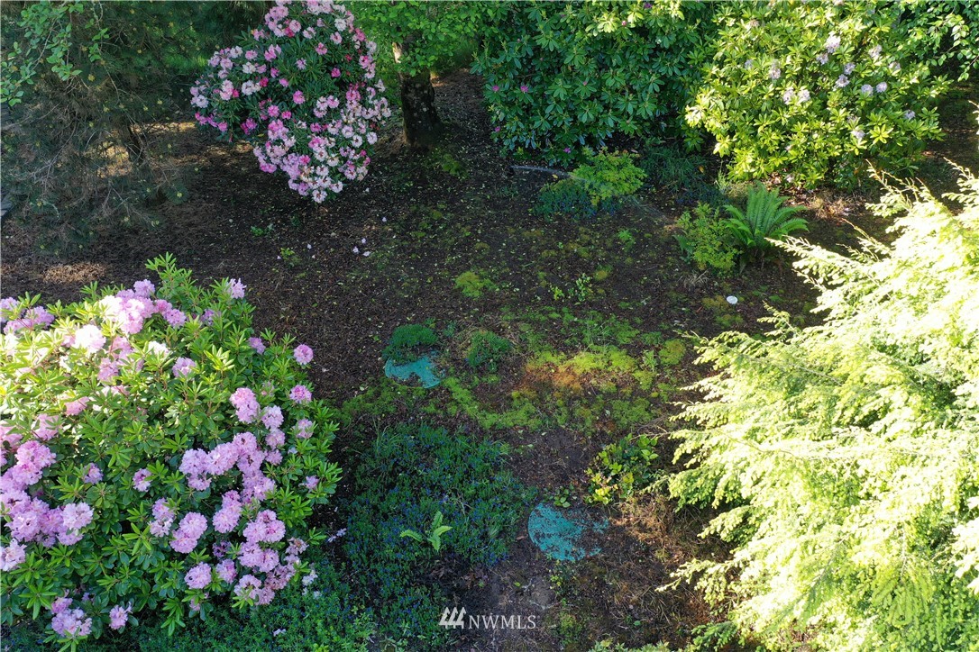 32810 Sandridge Road Oysterville, WA 98641 - Photo 17 of 27 Gallery Image 17