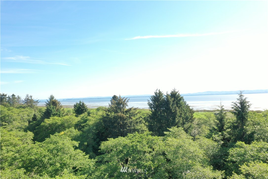 32810 Sandridge Road Oysterville, WA 98641 - Photo 18 of 27 Gallery Image 18