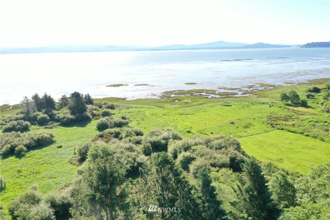 32810 Sandridge Road Oysterville, WA 98641 - Photo 19 of 27 Gallery Image 19