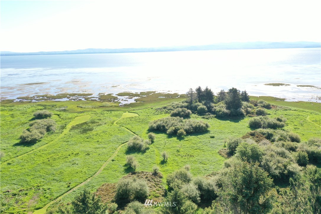 32810 Sandridge Road Oysterville, WA 98641 - Photo 20 of 27 Gallery Image 20
