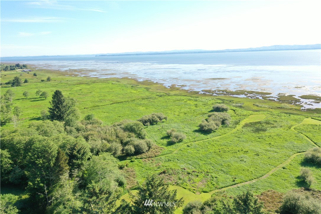 32810 Sandridge Road Oysterville, WA 98641 - Photo 21 of 27 Gallery Image 21
