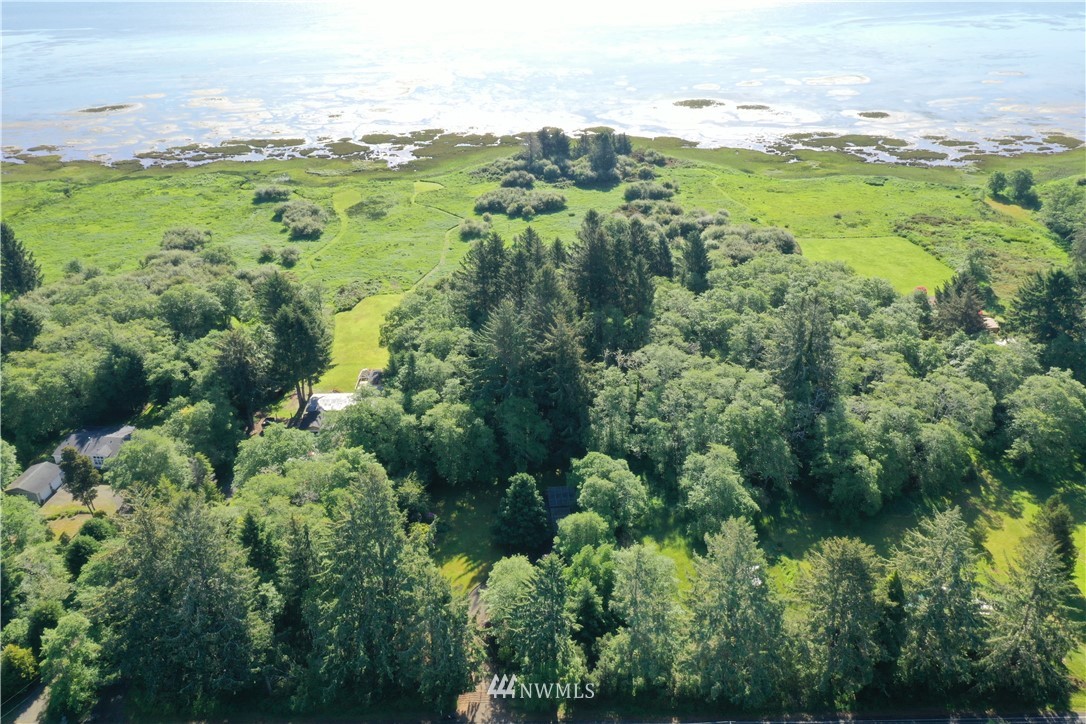 32810 Sandridge Road Oysterville, WA 98641 - Photo 23 of 27 Gallery Image 23