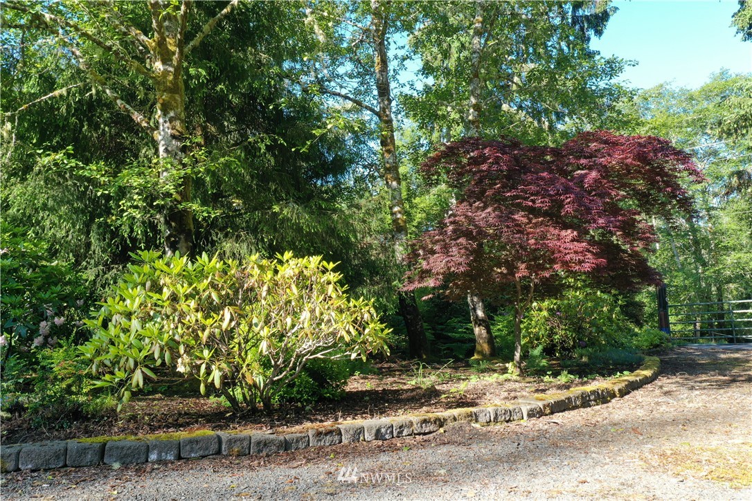 32810 Sandridge Road Oysterville, WA 98641 - Photo 5 of 27 Gallery Image 5